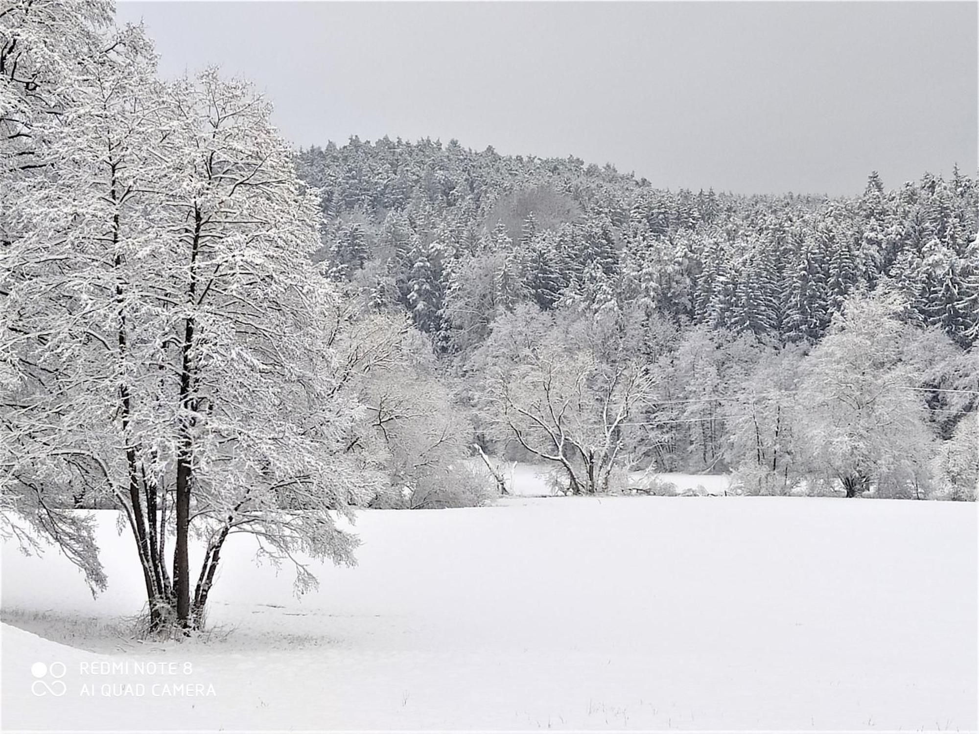Mediterran-Skandinavisch-2 Burgthann Екстер'єр фото
